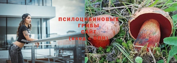 ПСИЛОЦИБИНОВЫЕ ГРИБЫ Абинск